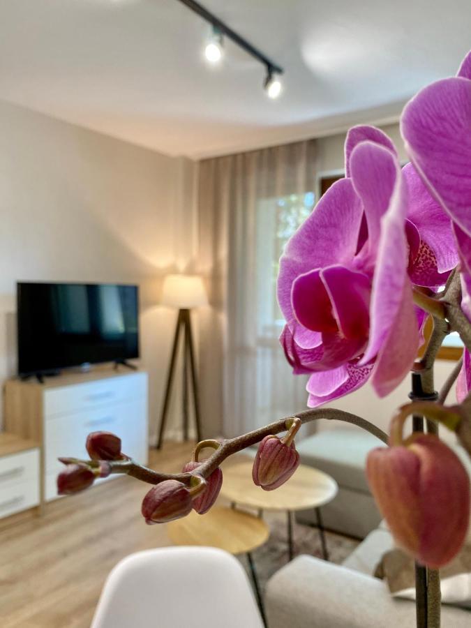 City Centre Bright & Cozy Apartment For 4 Persons 旧扎戈拉 外观 照片